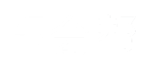 web logo